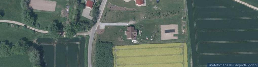 Zdjęcie satelitarne Domanice ul.