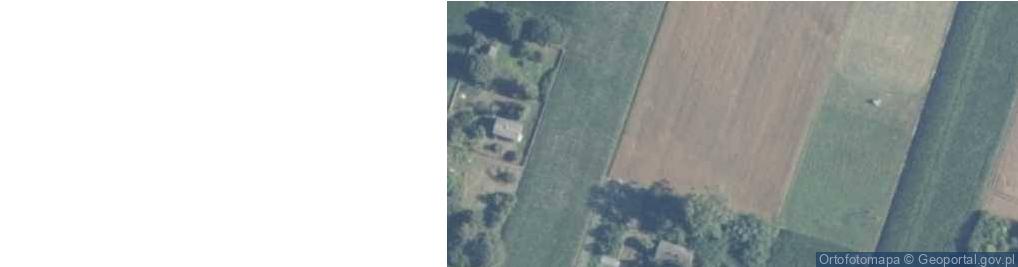 Zdjęcie satelitarne Domaniew ul.