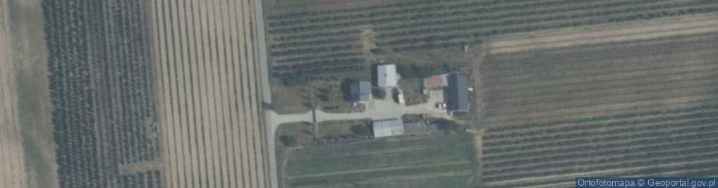 Zdjęcie satelitarne Domaniewice ul.