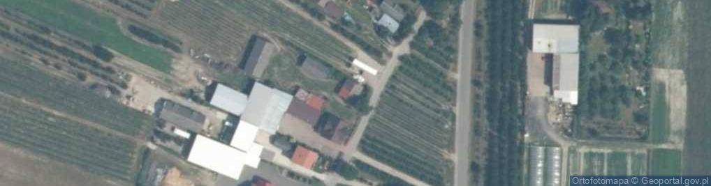 Zdjęcie satelitarne Domaniewice ul.