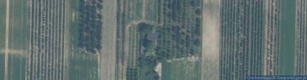 Zdjęcie satelitarne Domaniewice ul.