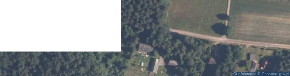 Zdjęcie satelitarne Domaniewice ul.