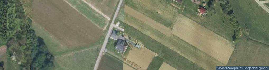 Zdjęcie satelitarne Dominikowice ul.