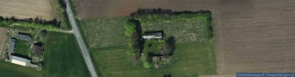 Zdjęcie satelitarne Dominikowice ul.