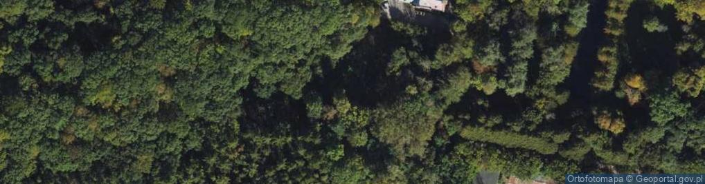 Zdjęcie satelitarne Do Studzienki ul.