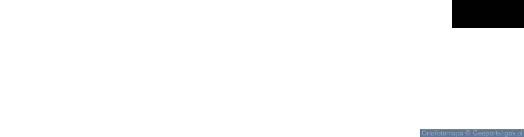 Zdjęcie satelitarne Dolna ul.