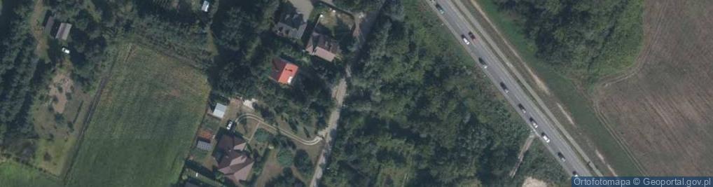 Zdjęcie satelitarne Dolna ul.