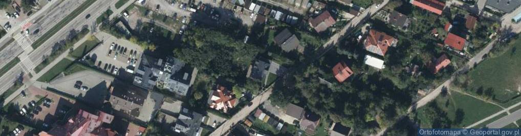 Zdjęcie satelitarne Domaniówka ul.