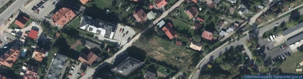 Zdjęcie satelitarne Domaniówka ul.