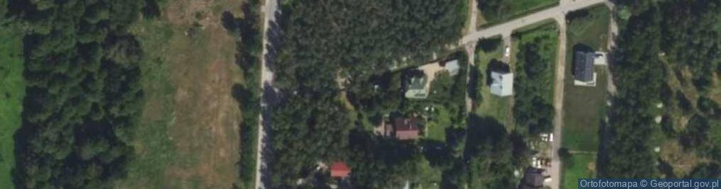 Zdjęcie satelitarne Dolna ul.