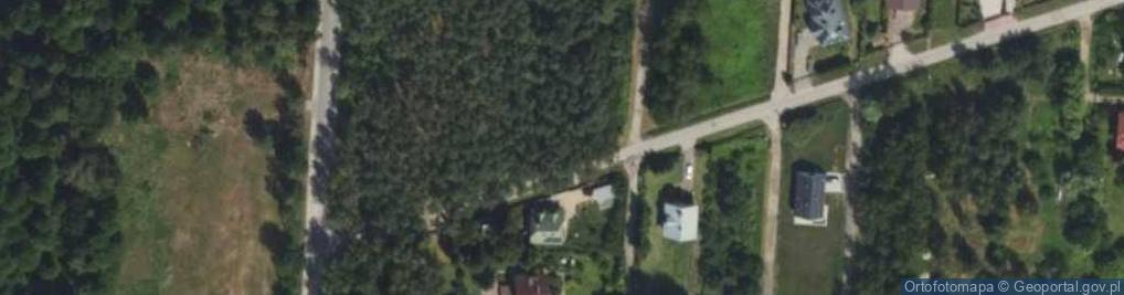 Zdjęcie satelitarne Dolna ul.