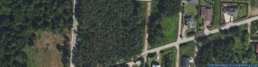 Zdjęcie satelitarne Dolna ul.