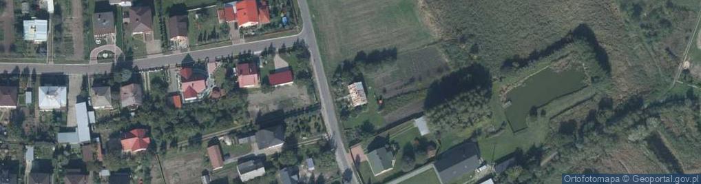 Zdjęcie satelitarne Domaniż ul.