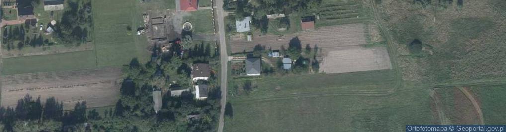 Zdjęcie satelitarne Domaniż ul.