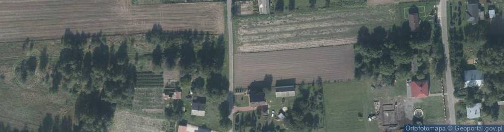 Zdjęcie satelitarne Domaniż ul.