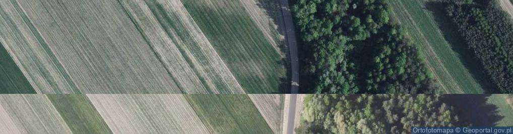 Zdjęcie satelitarne Dokudowska ul.