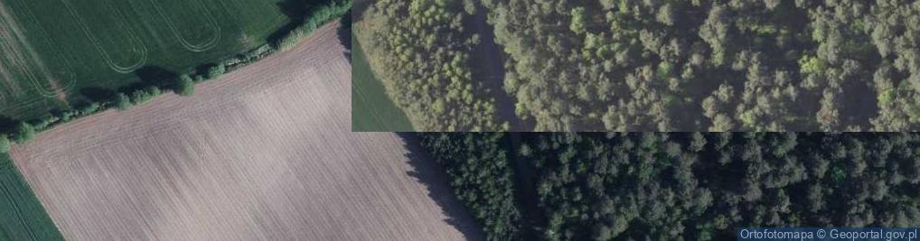 Zdjęcie satelitarne Dokudowska ul.