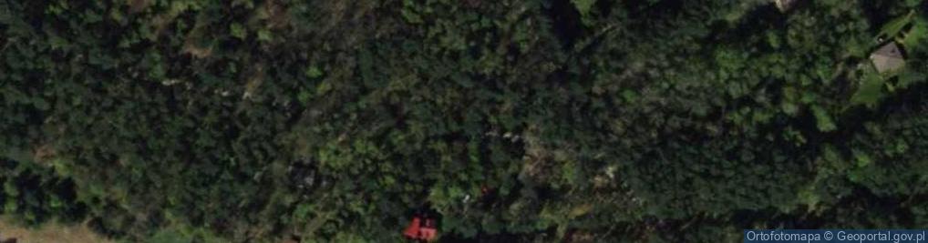 Zdjęcie satelitarne Dowsi ul.
