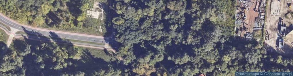 Zdjęcie satelitarne Dolna ul.