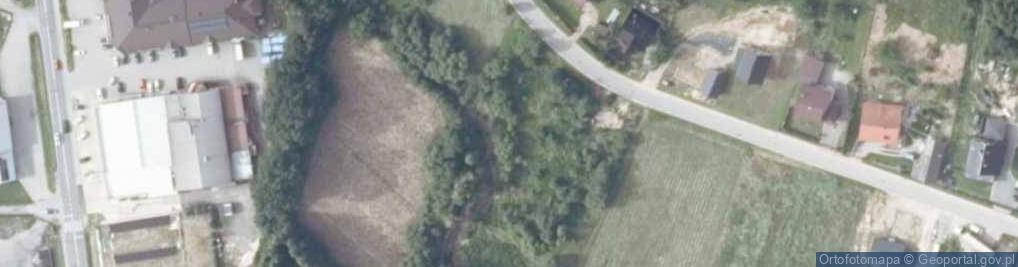 Zdjęcie satelitarne Dolna ul.