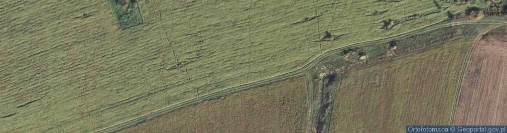 Zdjęcie satelitarne Dolna ul.