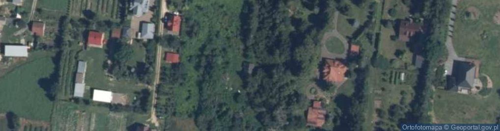 Zdjęcie satelitarne Dolna ul.