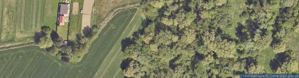 Zdjęcie satelitarne Dolna ul.