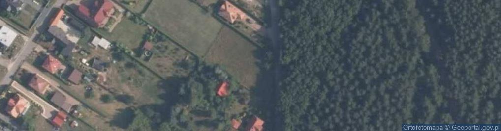 Zdjęcie satelitarne Dolna ul.
