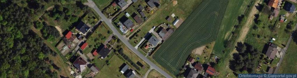 Zdjęcie satelitarne Drzewna ul.
