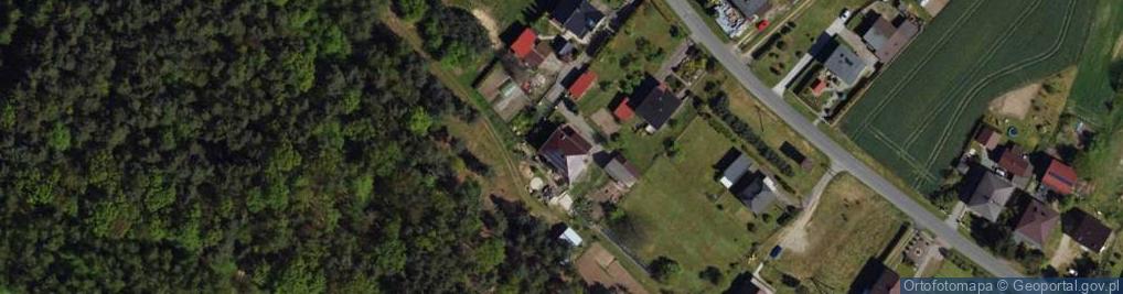 Zdjęcie satelitarne Drzewna ul.