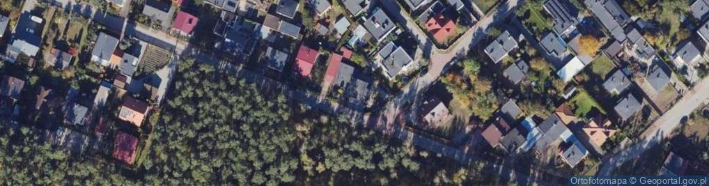 Zdjęcie satelitarne Drzewna ul.