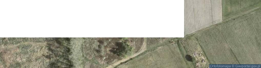 Zdjęcie satelitarne Drzewna ul.