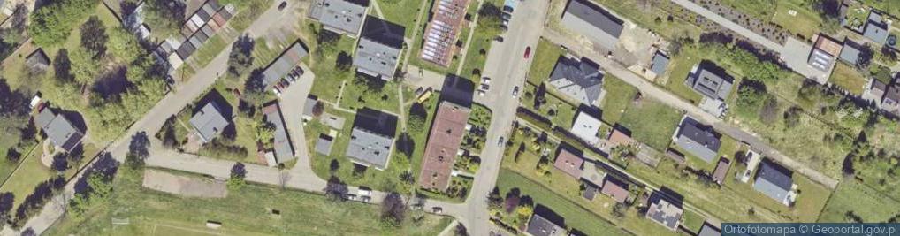 Zdjęcie satelitarne Drzewna ul.