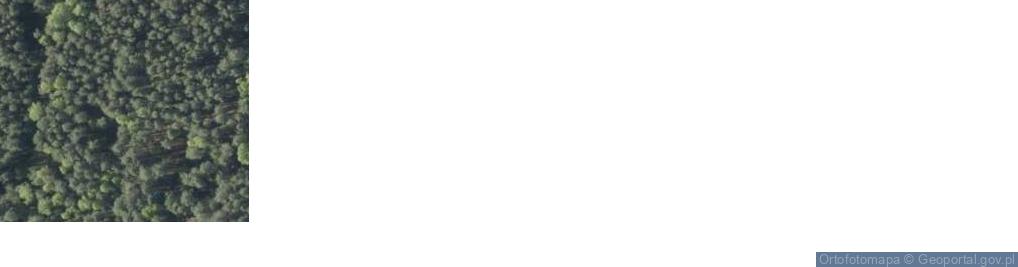 Zdjęcie satelitarne Drezno ul.