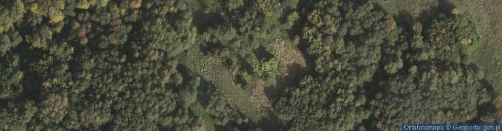 Zdjęcie satelitarne Drohobyczka ul.