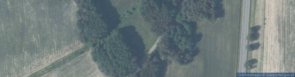 Zdjęcie satelitarne Drozdów ul.