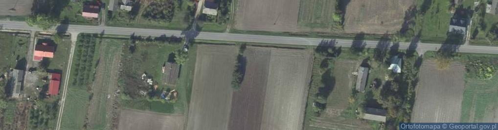 Zdjęcie satelitarne Dryszczów ul.