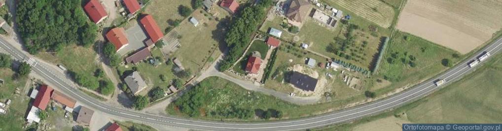 Zdjęcie satelitarne Drzecin ul.