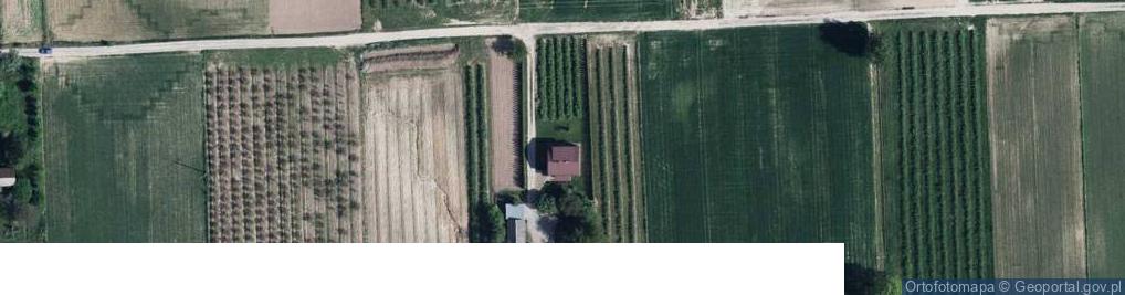 Zdjęcie satelitarne Drzewce-Kolonia ul.