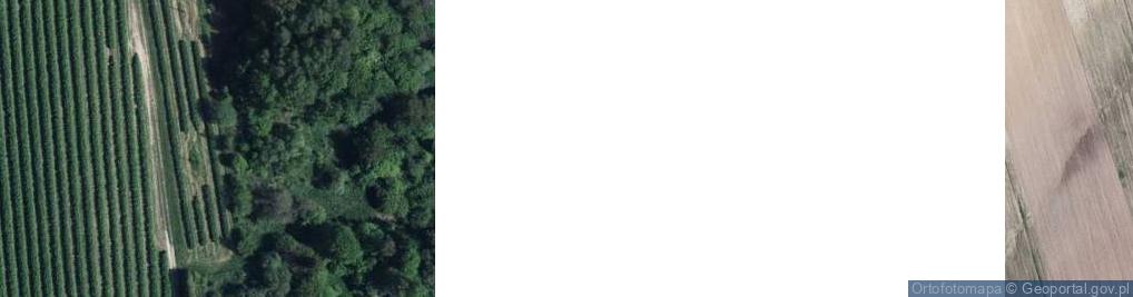 Zdjęcie satelitarne Drzewce-Kolonia ul.