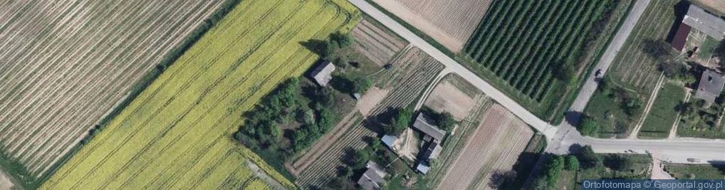 Zdjęcie satelitarne Drzewce-Kolonia ul.