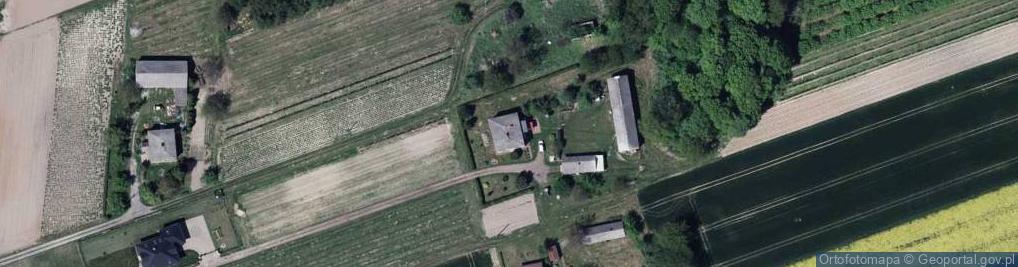 Zdjęcie satelitarne Drzewce ul.