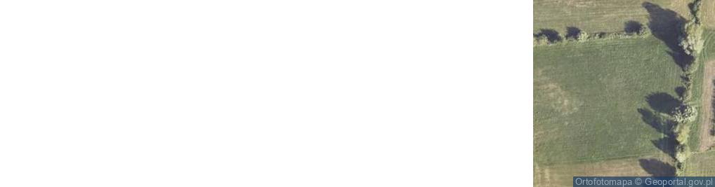 Zdjęcie satelitarne Drzewce ul.