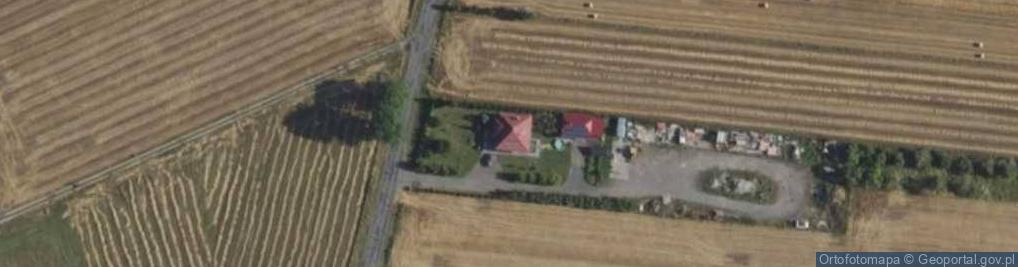 Zdjęcie satelitarne Drzewce ul.