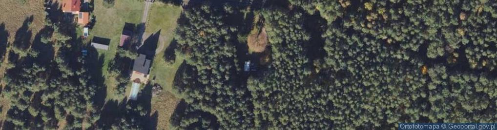 Zdjęcie satelitarne Drzewiecka ul.