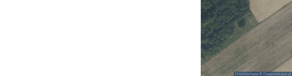 Zdjęcie satelitarne Drzewice ul.