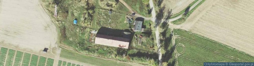 Zdjęcie satelitarne Drzewiec ul.