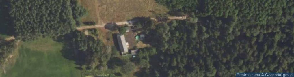 Zdjęcie satelitarne Drzewociny ul.