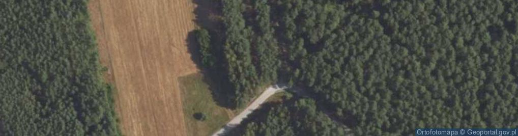 Zdjęcie satelitarne Drzewociny ul.