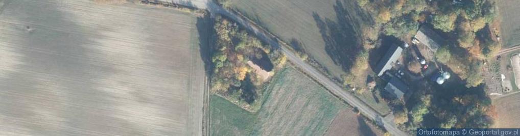 Zdjęcie satelitarne Drzonek ul.